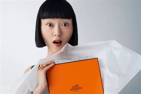 hermes advertising campaigns|hermes collaborations.